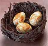 csokifeszek csoki tojassal husveti fesztival husveti tojasdekoralas 2010 online hírek csokifeszek csoki tojassal husveti fesztival husveti tojasdekoralas 2010 online hírek