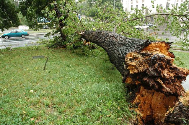 Késések a vasúti közlekedésben - Viharok a Dunántúlon