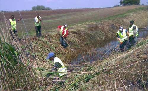 2012-ben is folytatódik a közmunkaprogram Szombathelyen