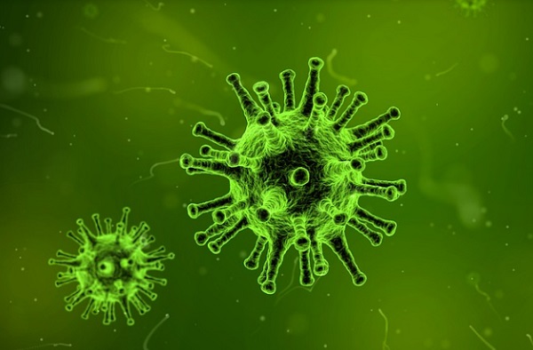 Vas megyében is kimutatták az influenza-járványt
