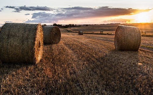 Szalmabálák százai égtek Körmenden