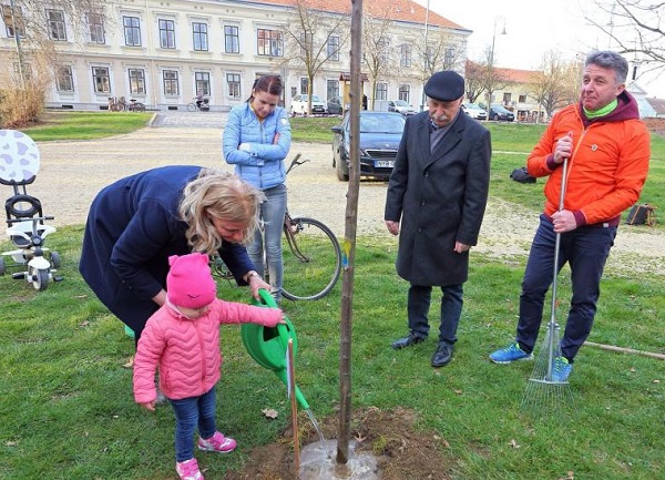 120 fát ültetnek a kerékpár egylet tagjai Sárváron