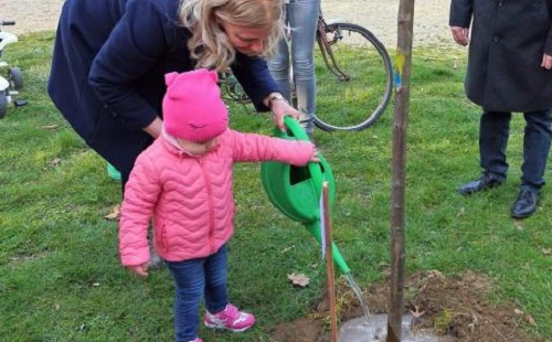 Százhúsz fával szépítik meg Sárvár köztereit
