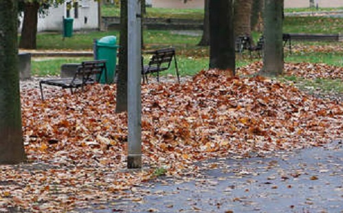 A lakók összefogtak, a levél egyelőre maradt – panaszolták a szombathelyiek