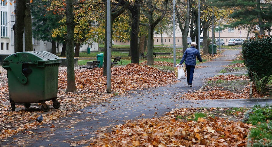 Sok a levél a közterületeken Szombathelyen