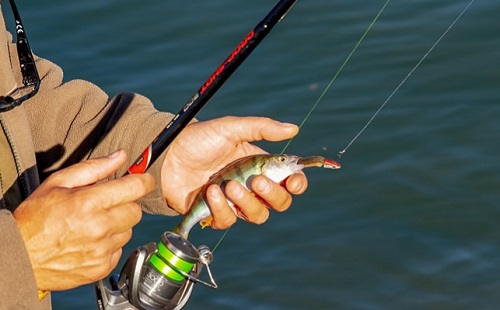 A horgászversenyeket is lemondták Vas megyében 