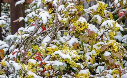 Még lehet hóra számítani Vas megyében