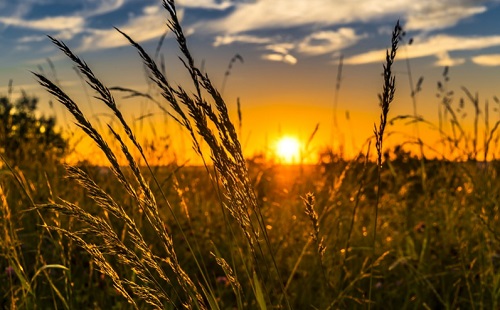 Vas megye: előretervezést és vásárlást ajánlanak a gazdáknak