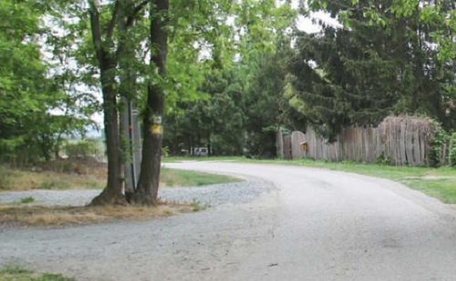 Elvetették a Kőszeg Meszes-völgyi erdészeti út ötletét