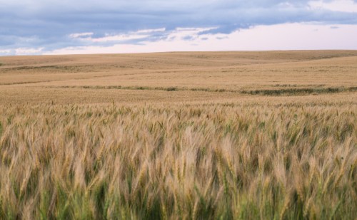 Több milliárdos élelmiszeripari beruházás a megyében