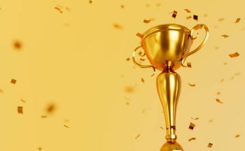 Kiválóan teljesítettek a vasi középiskolások az országos döntőn