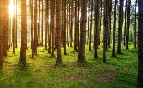 Fejlődik Szombathely turizmusa
